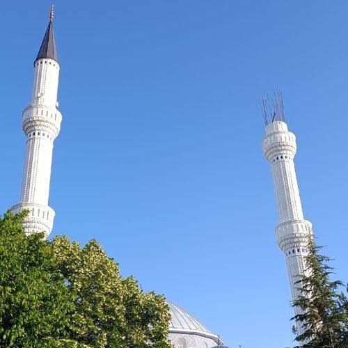 KÜTAHYA/DOMANİÇ